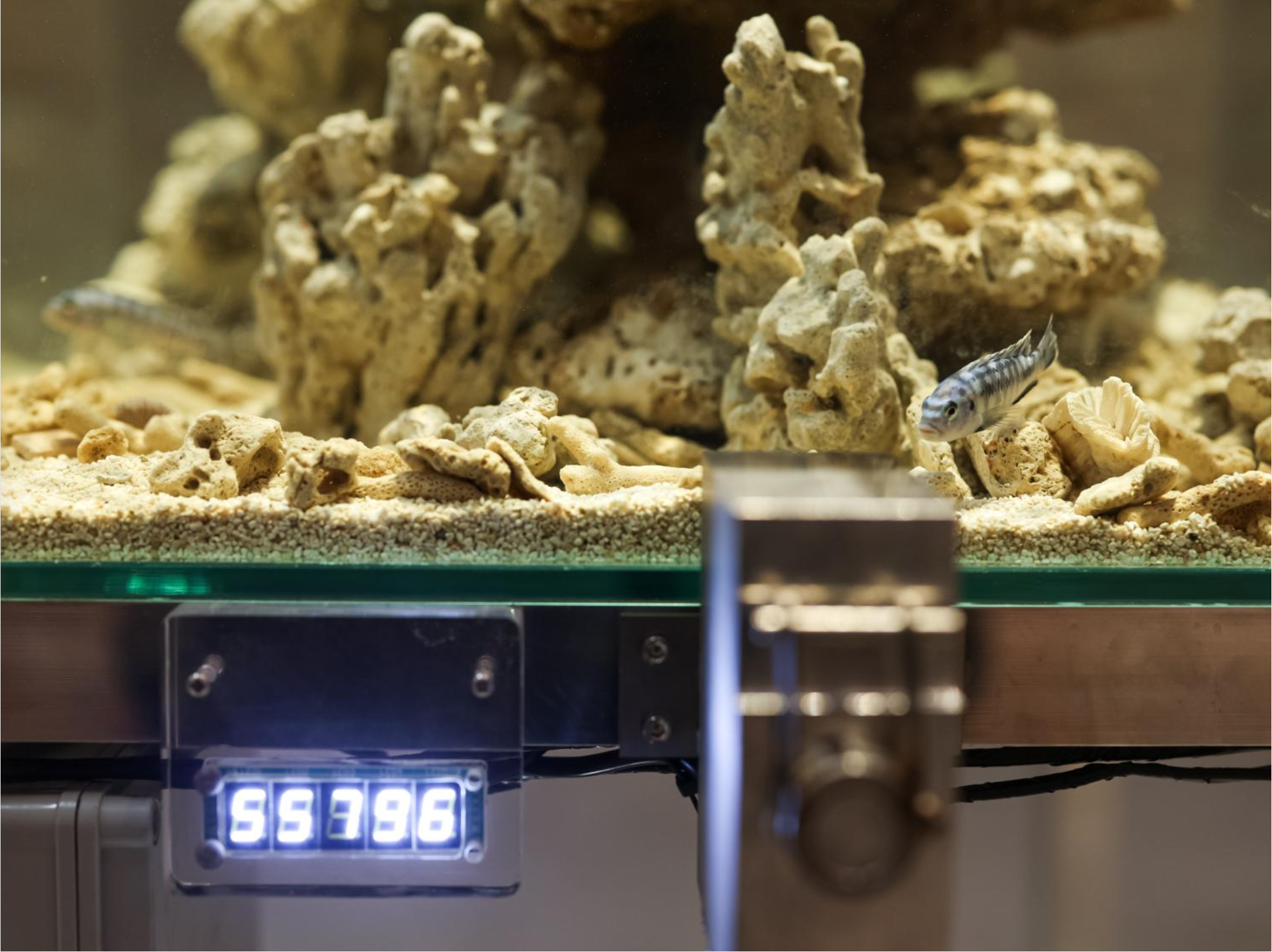 王郁洋，《坍塌》，“Chaosmosis”展览现场，798CUBE，北京。